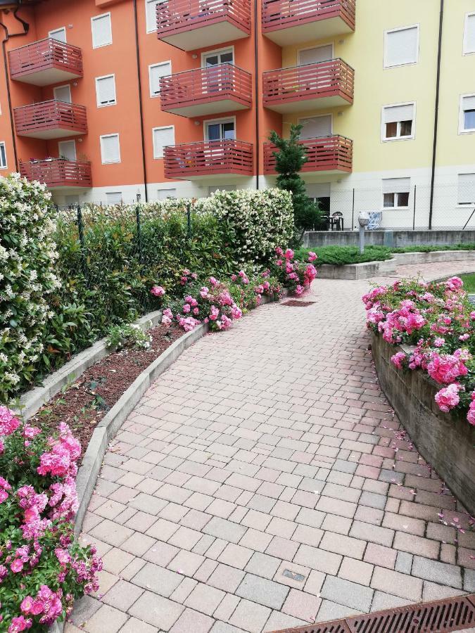 Апартаменты Ca Delle Rose Роверето Экстерьер фото